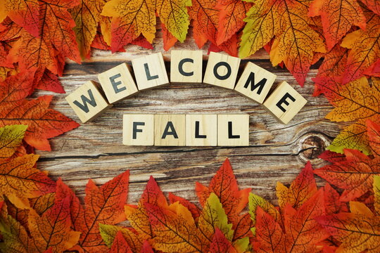 What We Love about Fall!