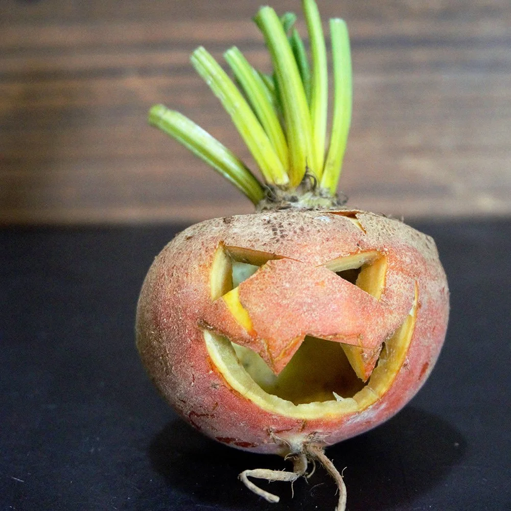 Before pumpkins were used for Jack O' Lanterns, the Irish used turnips.