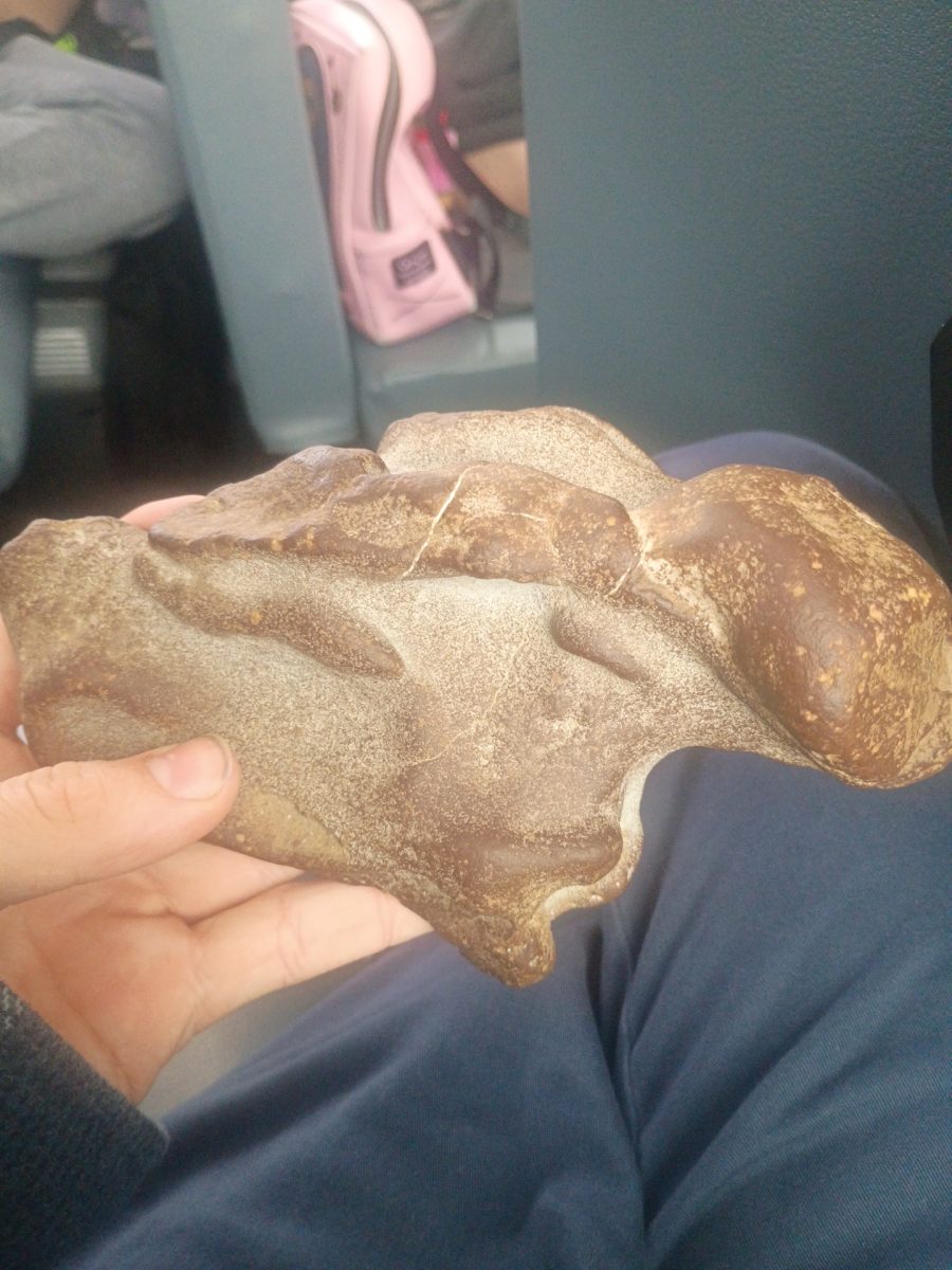 Jesaun Auen holds his interesting artifact.